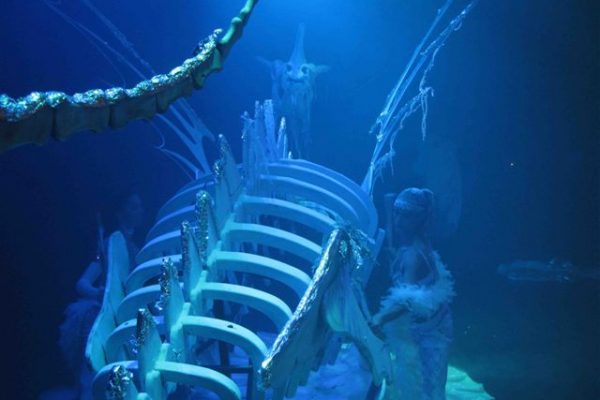 draak slagwerkshow openingsspektakel