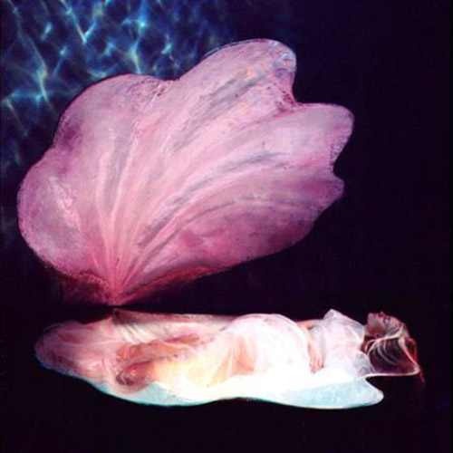 3a-openingsact- thematisch-onder water-schelp