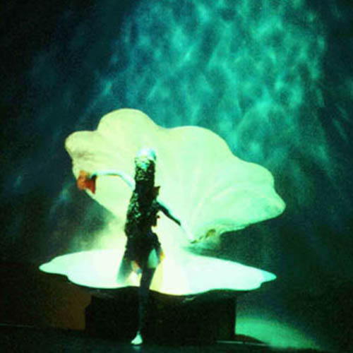 3b- opening -op- maat- schelp - water